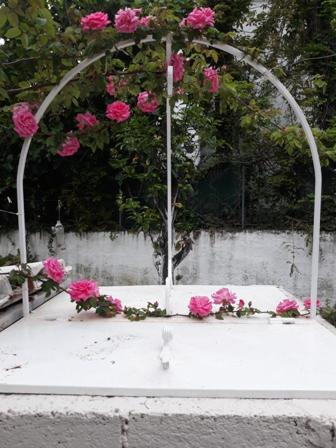 Vasilis Apartament *